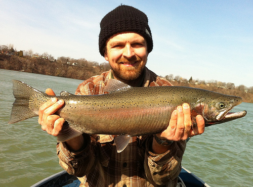 March 7 black chart flatfish.jpg - Another fine winter steelhead from the Niagara River caught on a gold Kwikfish.
